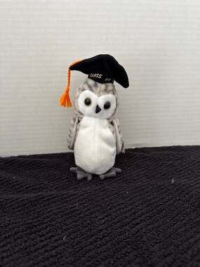 Ty Beanie Baby Wiser the Graduation Owl Class of 1999